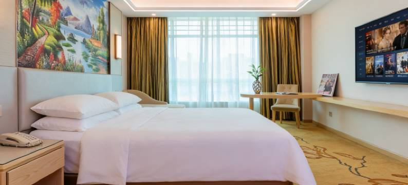 维也纳酒店(惠州高铁北站小金口店)图片