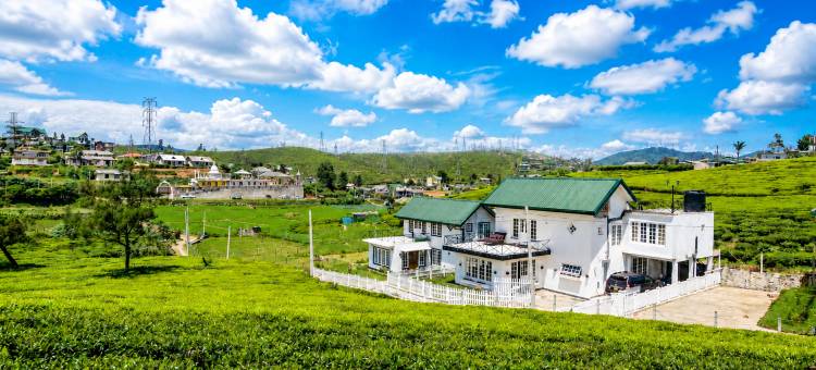茶园别墅(Villa Tea Fields - Free Breakfast, Just 4km from City, Near Lake Gregory)图片