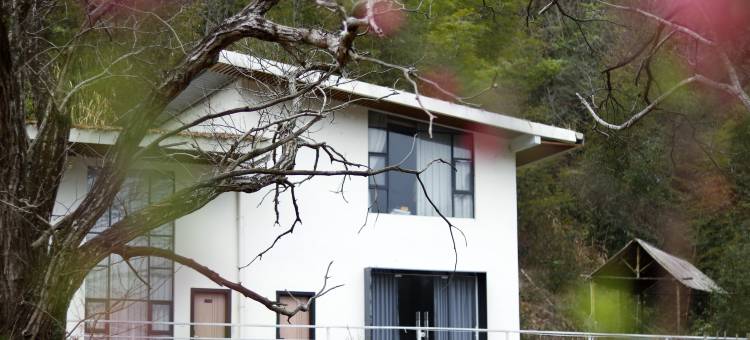 连平趣田野民宿图片