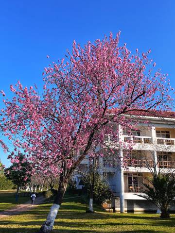 云南滇池温泉花园国际大酒店图片