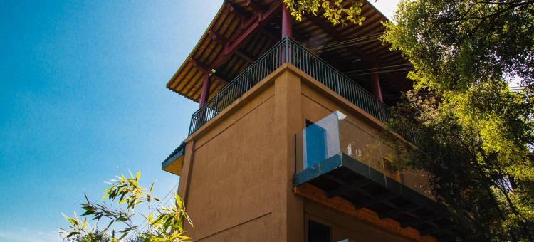 柞水对峰崖居图片