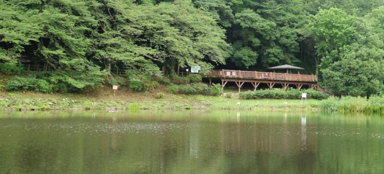 大和站前东横旅馆(Toyoko Inn Yamato Ekimae)图片