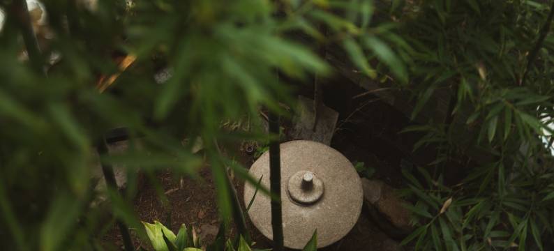 青岛1903里院客栈(中山路栈桥店)图片