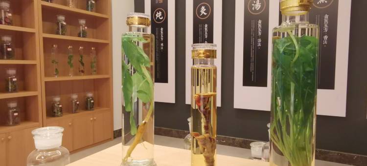 文成天圣逸境·养生庄园图片