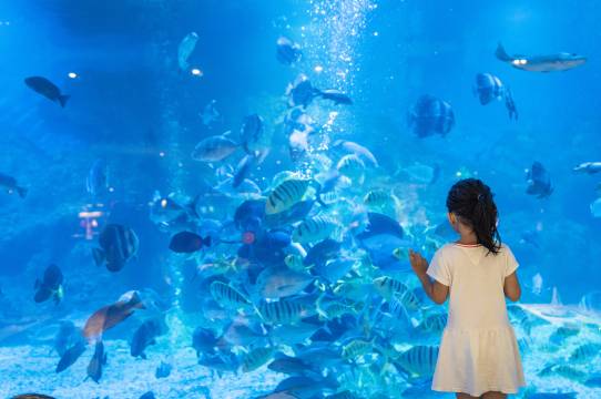 三亚亚龙湾迎宾馆图片