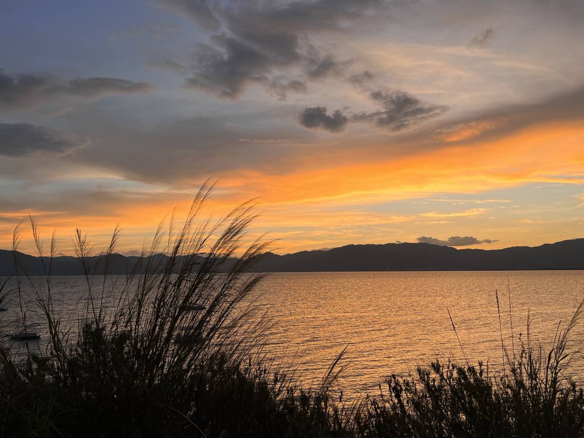 抚仙湖山屿海民宿图片