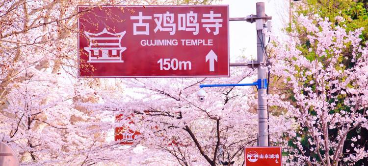 南京鼓楼桔子水晶酒店图片