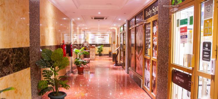 蒂芙尼钻石酒店(Tiffany Diamond Hotels Ltd - Indira Gandhi Street)图片