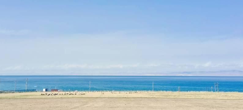 天湖缘・LakeView丨湖景民宿(青海湖二郎剑景区店)图片