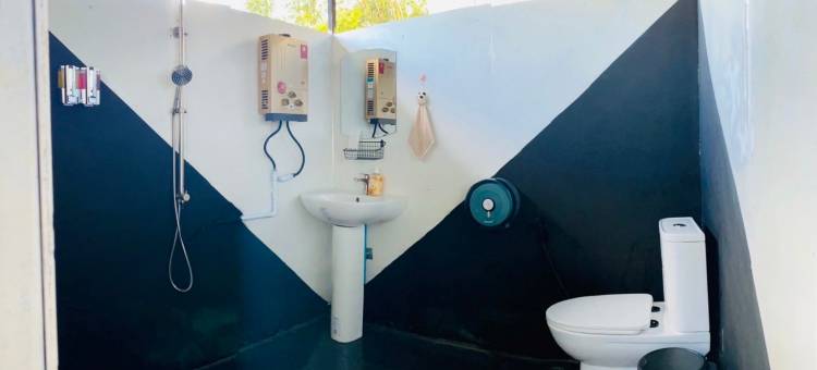 塌吗茶(Tham ma chard)图片