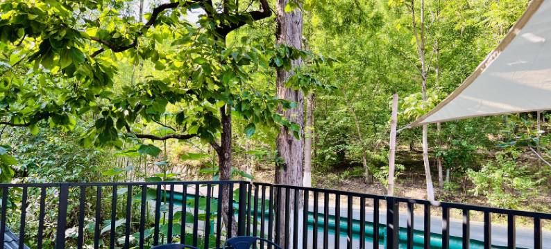 留坝玉见山竹家庭民宿图片