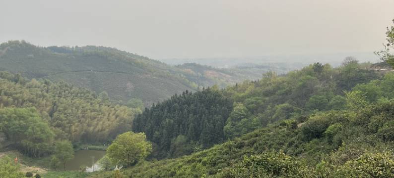 郝堂郝客栈(郝堂店)图片