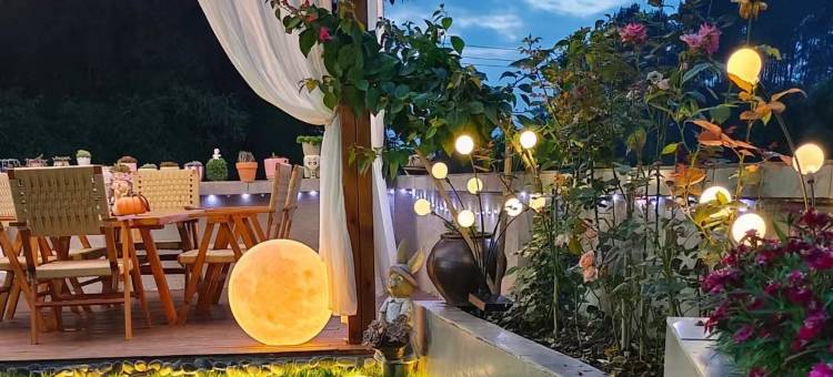 白密湾·BaiM.patio丨半朵云丨洱海漫渡.清氧美居(大理洱海店)图片