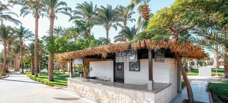 贾兹马卡迪绿洲度假村(JAZ Makadi Oasis Resort)图片