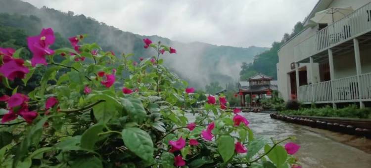 蓝孔雀·梅庄乡村民宿图片