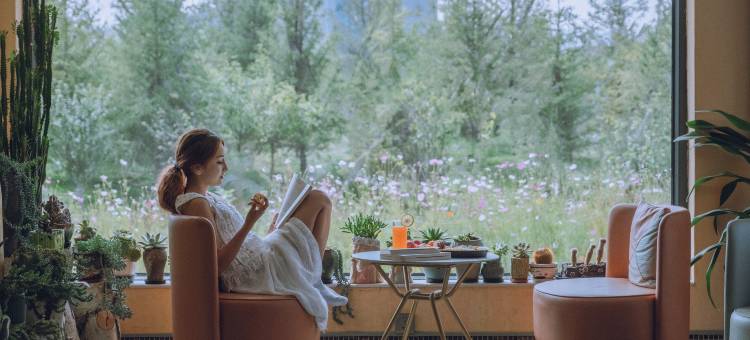 布尔津童话城堡·观景主题美宿(喀纳斯塔桥店)图片