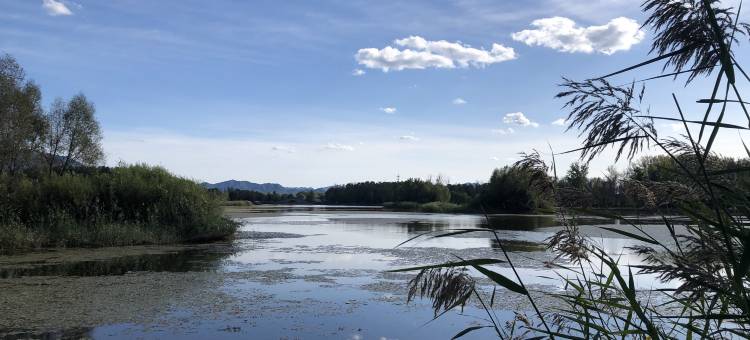 牛铃民宿图片