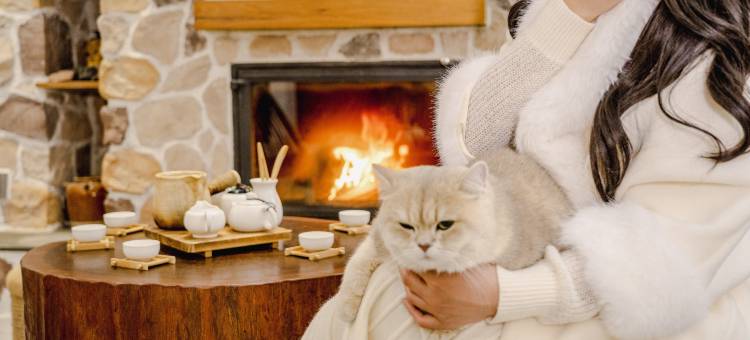 梨蜗度假别墅(莫干溪谷店)图片