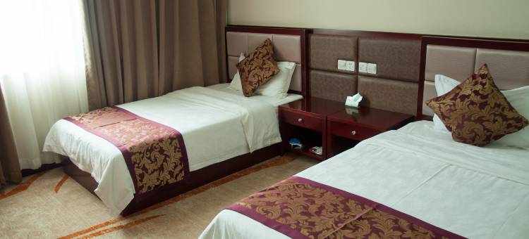 阳光恩贾梅纳大酒店(Soluxe Hotel)图片