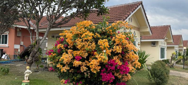 艾瓦拉塔度假村(Aivarata Resort)图片