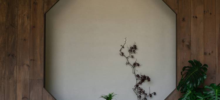 墟里社区·泰顺半城里民宿图片