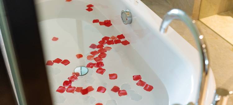 重庆秀山洲丽酒店图片