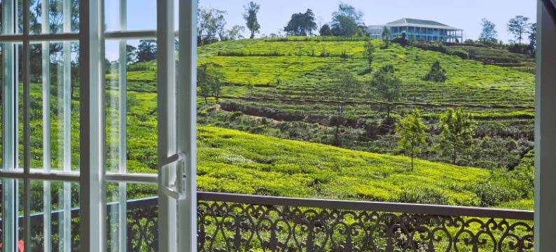 茶园私人别墅(Private Villa by the Tea Estate)图片