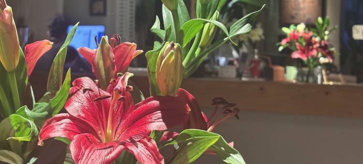 花筑·杭州西湖琅琊阁茶宿图片