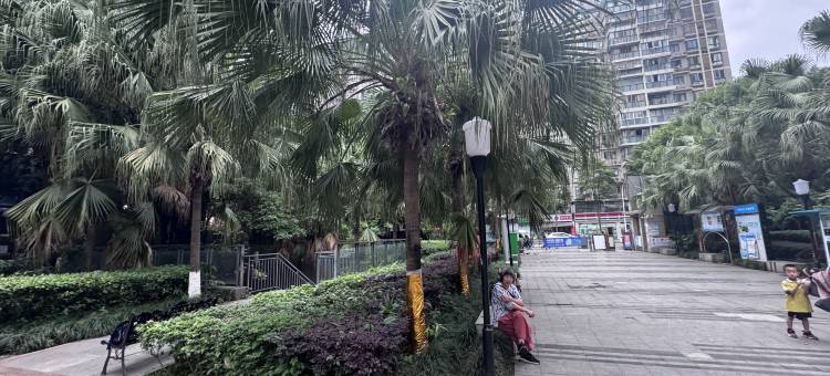犀浦青旅(犀浦站店)图片