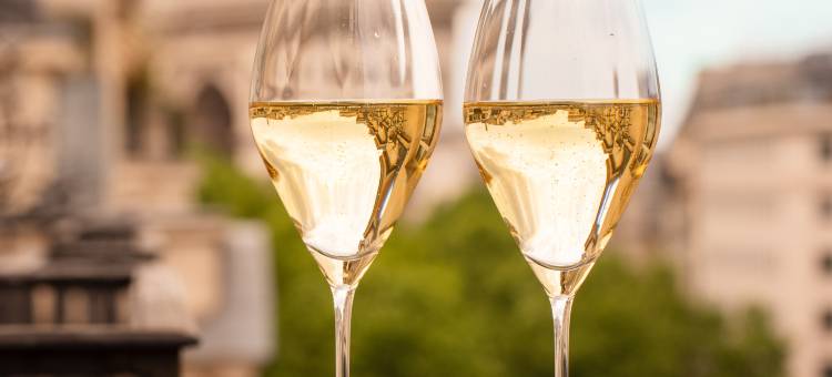 巴黎皇家蒙索莱佛士酒店(Le Royal Monceau - Raffles Paris)图片