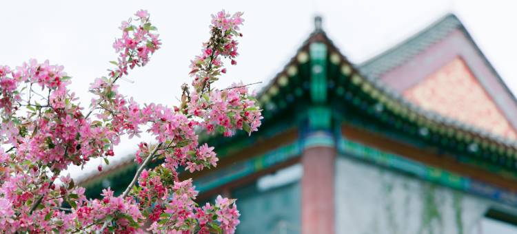 丰宁九龙醉宾馆图片