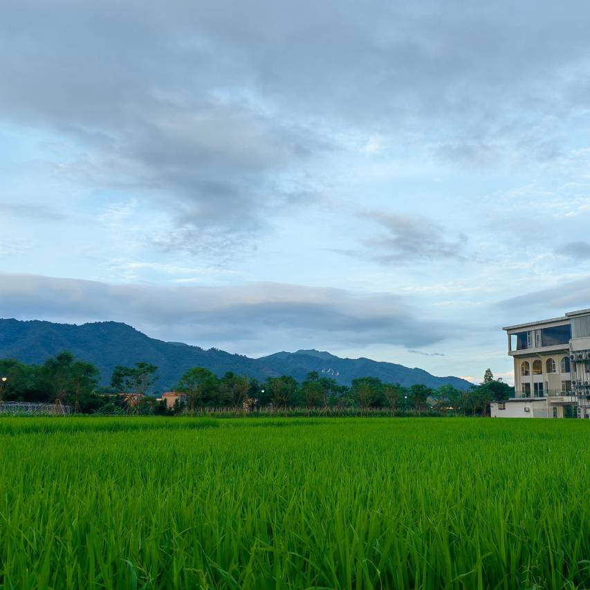 丹霞印象·蜜峰民宿图片