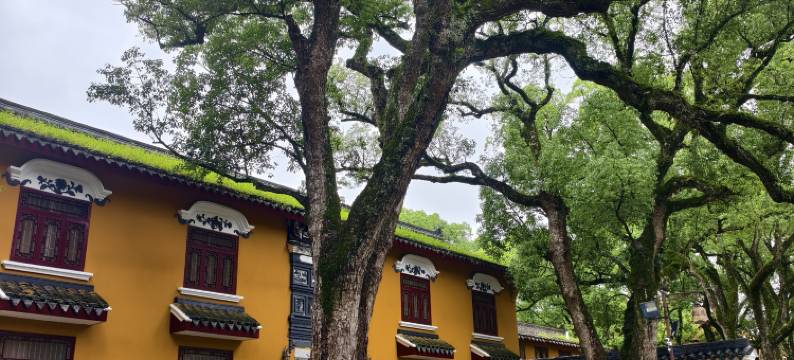 普陀山境约里民宿图片