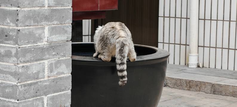 康泰居客栈(平遥古城店)图片