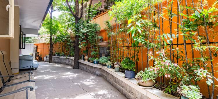 昭通皇之城酒店(望海文化公园凤凰山森林公园店)图片