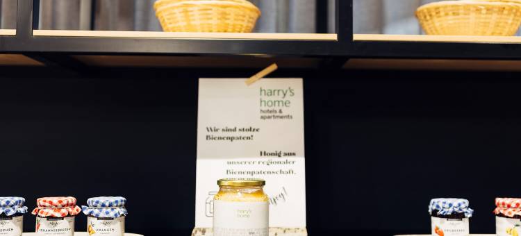 哈利之家多伯恩酒店(Harry's Home Dornbirn Hotel & Apartments)图片