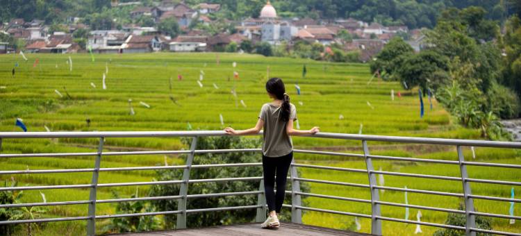 拉旺贝SS度假村及会议中心(BeSS Resort & Convention Lawang)图片