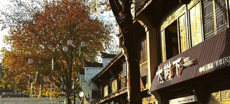 衢州大树下民宿(水亭门景区店)图片