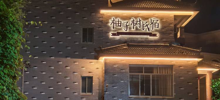柚子树·亲子庭院Leisure度假美宿(桐庐OMG心跳乐园店)图片