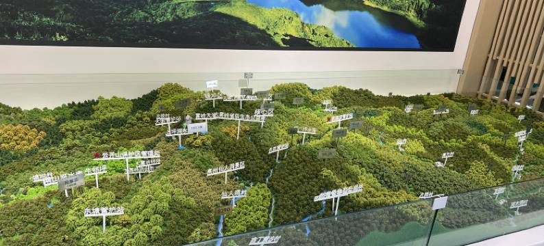 大田顶雾峰逸栈民宿图片