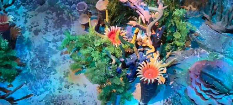 常山天曼国际酒店图片