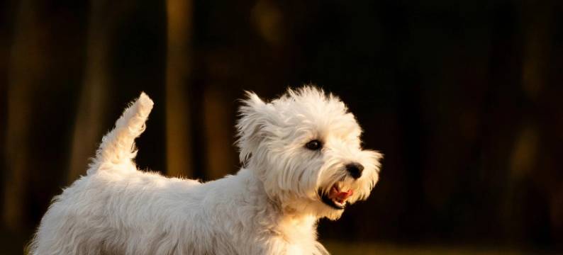 安吉桃源里酒店图片