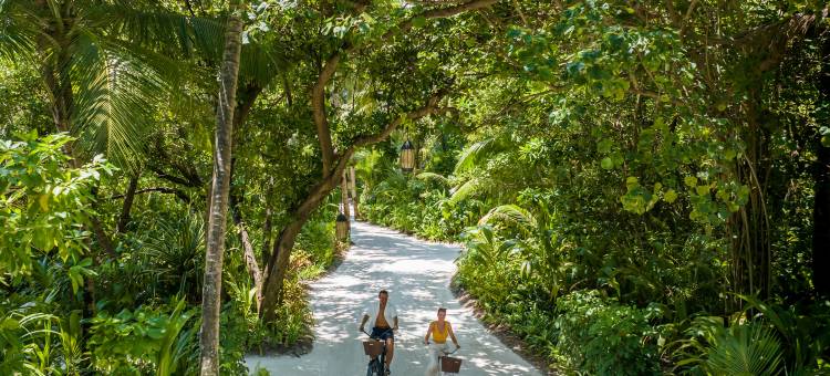 尼亚玛私人岛屿-马尔代夫(Niyama Private Islands Maldives)图片