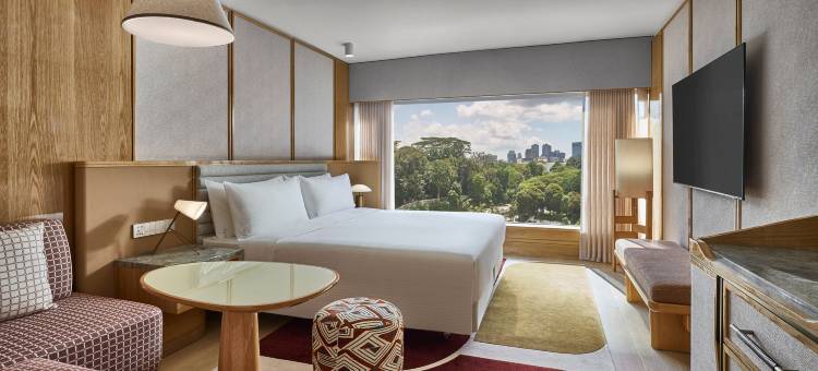新加坡乌节市中心假日酒店 - IHG 旗下酒店(Holiday Inn SINGAPORE ORCHARD CITY CENTRE by IHG)图片