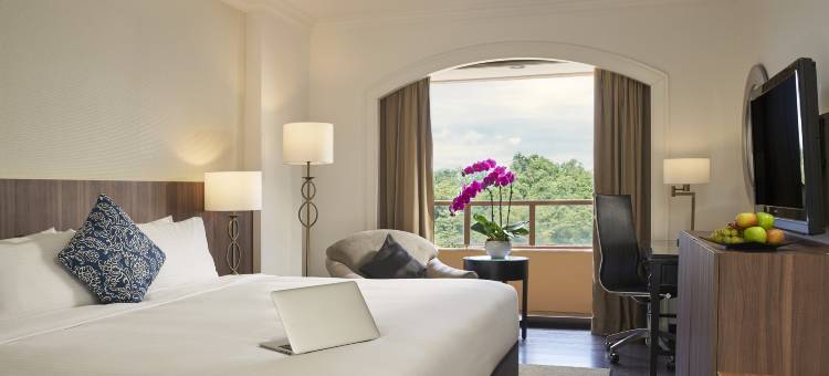 新加坡乌节龙都大酒店 远东集团(Orchard Rendezvous Hotel by Far East Hospitality)图片