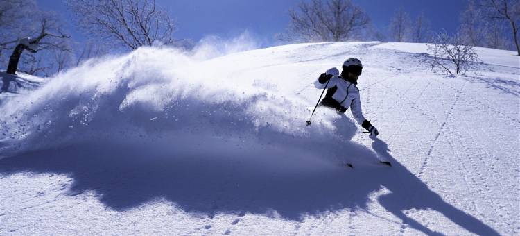 Club Med 北海道喜乐乐云栖度假村(Club Med Kiroro Peak)图片