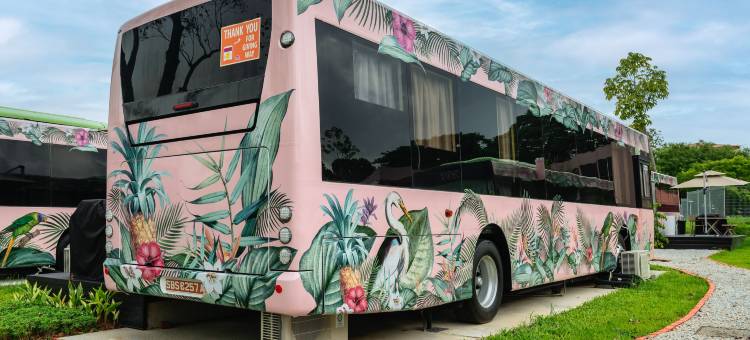 巴士合作社房车酒店(The Bus Collective)图片