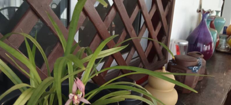 洛阳·兰轩休闲度假Villa美宿(龙门石窟风景区店)图片