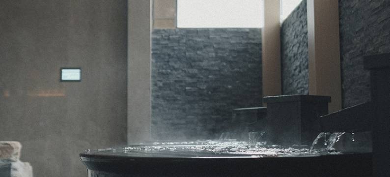 有马汤泉酒店(合肥市政务中心地铁站店)图片