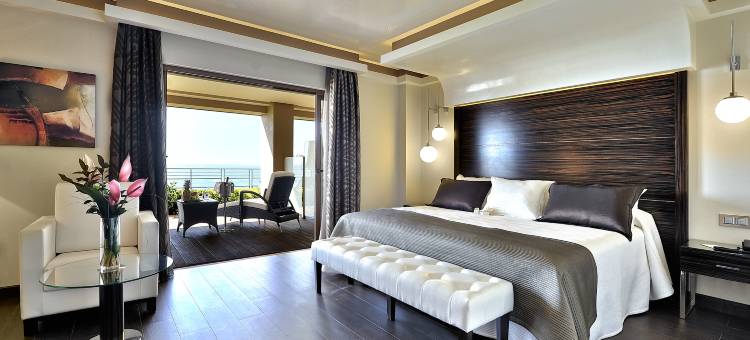 维西埃雷萨精选酒店(Vincci Selección Aleysa)图片